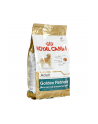 Karma Royal Canin Golden Retriever Adult (12 kg ) - nr 3