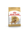 Karma Royal Canin Golden Retriever Adult (12 kg ) - nr 4