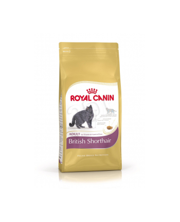 Karma Royal Canin FBN Kit Brit Shorth (0 40 kg )