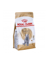 Karma Royal Canin FBN Kit Brit Shorth (0 40 kg ) - nr 2