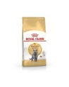 Karma Royal Canin FBN British Shorth (10 kg ) - nr 7