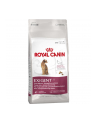 Karma Royal Canin FHN EXIGENT 33 Aromatic (10 kg ) - nr 1