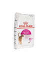 Karma Royal Canin FHN EXIGENT 33 Aromatic (10 kg ) - nr 2