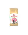 Karma Royal Canin FBN Kitten Maine Coon (0 40 kg ) - nr 4