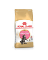 Karma Royal Canin FBN Kitten Maine Coon (4 kg ) - nr 3