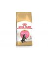 Karma Royal Canin FBN Kitten Maine Coon (4 kg ) - nr 4