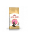 Karma Royal Canin FBN Kitten Maine Coon (4 kg ) - nr 5