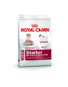 Karma Royal Canin SHN Medium Starter M&B (12 kg ) - nr 1