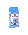 Karma Royal Canin SHN Giant Starter M & B (15 kg ) - nr 3