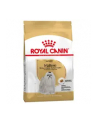 Karma Royal Canin SHN Breed Maltese Adult (1 50 kg ) - nr 3