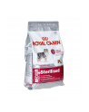 Karma Royal Canin SHN Medium Sterilised Ad (3 kg ) - nr 2