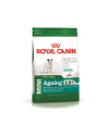 Karma Royal Canin SHN Mini Ageing (3 50 kg ) - nr 1