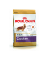 Karma Royal Canin SHN Breed Cocker (12 kg ) - nr 1