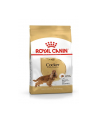 Karma Royal Canin SHN Breed Cocker (12 kg ) - nr 3