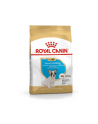 Karma Royal Canin BHN French Bulldog Junior (3 kg ) - nr 4