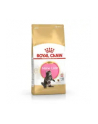 Karma Royal Canin FBN Kitten Maine Coon (2 kg ) - nr 3