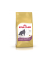 Karma Royal Canin FBN Kit Brit Shorth (2 kg ) - nr 1