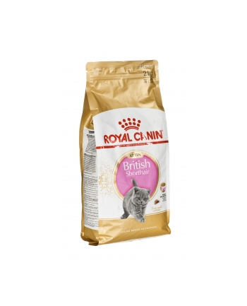 Karma Royal Canin FBN Kit Brit Shorth (2 kg )