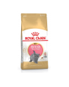 Karma Royal Canin FBN Kit Brit Shorth (2 kg ) - nr 3