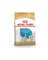 Karma Royal Canin SHN Breed Jack Russ Jun (3 kg ) - nr 3