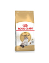 Karma Royal Canin FBN Ragdoll (2 kg ) - nr 1