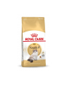 Karma Royal Canin FBN Ragdoll (2 kg ) - nr 3