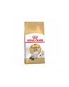 Karma Royal Canin FBN Ragdoll (2 kg ) - nr 5