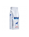 Karma Royal Canin VD Dog Renal Special (2 kg ) - nr 2