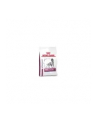 Karma Royal Canin VD Dog Renal Special (2 kg ) - nr 3