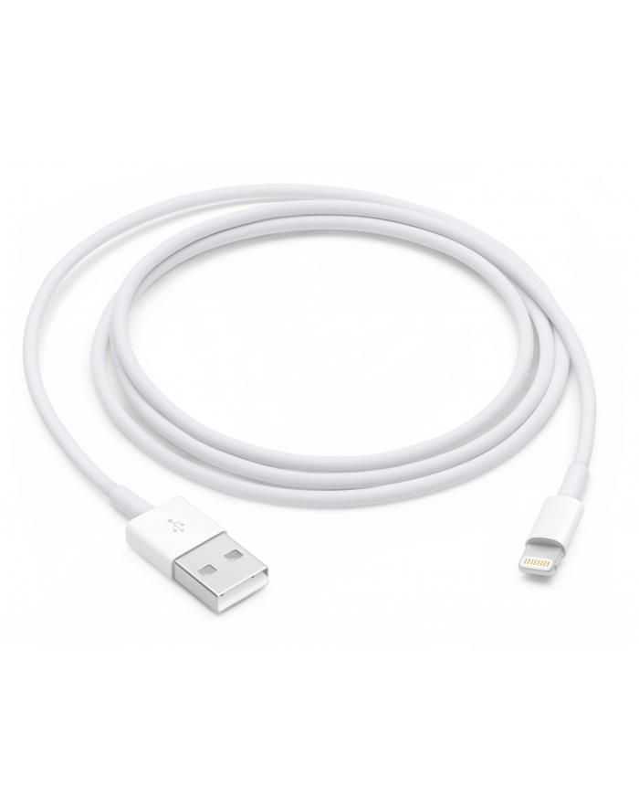 Apple Kabel Lighting 1m MD818ZM/A główny