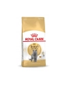 Karma Royal Canin FBN British Shorth (10 kg ) - nr 3