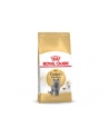 Karma Royal Canin FBN British Shorth (10 kg ) - nr 7