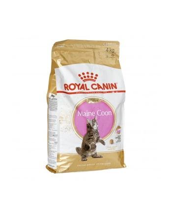 Karma Royal Canin FBN Kitten Maine Coon (4 kg )