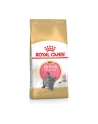 Karma Royal Canin FBN Kit Brit Shorth (2 kg ) - nr 3