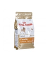 Karma Royal Canin SHN Breed Poodle (1 50 kg ) - nr 2