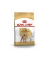 Karma Royal Canin SHN Breed Poodle (1 50 kg ) - nr 3