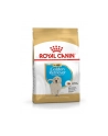 Karma Royal Canin SHN Breed Golden Retriever Junior (12 kg ) - nr 3