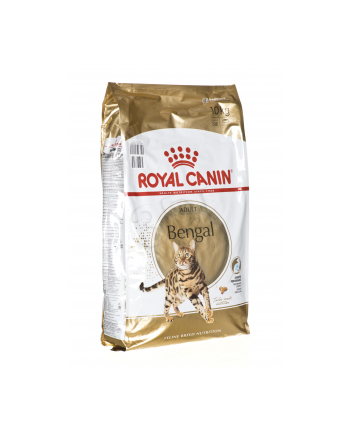 royal canin FBN Bengal 10 kg NEW!
