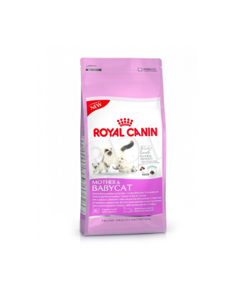 royal canin FHN Baby Cat 36 0 4 kg