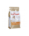 Karma Royal Canin SHN Breed Poodle (1 50 kg ) - nr 2