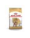 Karma Royal Canin SHN Breed Poodle (1 50 kg ) - nr 3