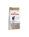 Karma Royal Canin SHN Breed Yorkshire Jun  (7 50 kg  ) - nr 1