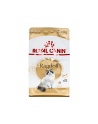 Karma Royal Canin FBN Ragdoll (0 40 kg ) - nr 2