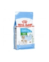 Karma Royal Canin SHN Mini Starter M - nr 1