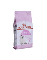 royal canin FHN Kitten 2 kg - nr 2