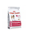 Karma Royal Canin SHN Medium Dermacomfort (3 kg ) - nr 2