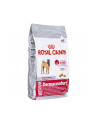 Karma Royal Canin SHN Medium Dermacomfort (3 kg ) - nr 3