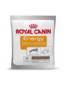 Karma Royal Canin NUTRITIONAL SUPPLEMENT ENERGY (0 05 kg ) - nr 1