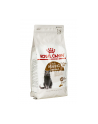 Karma Royal Canin FHN Ageing Steril (2 kg ) - nr 2