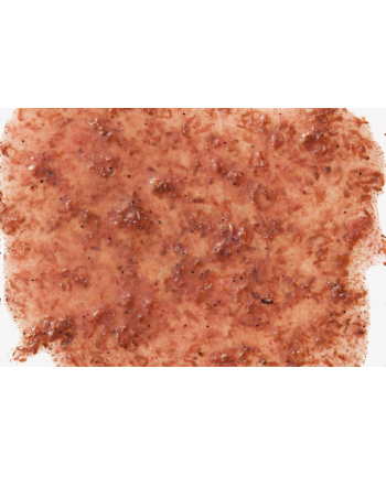 TetraFreshDelica Krill 48 g nr 2
